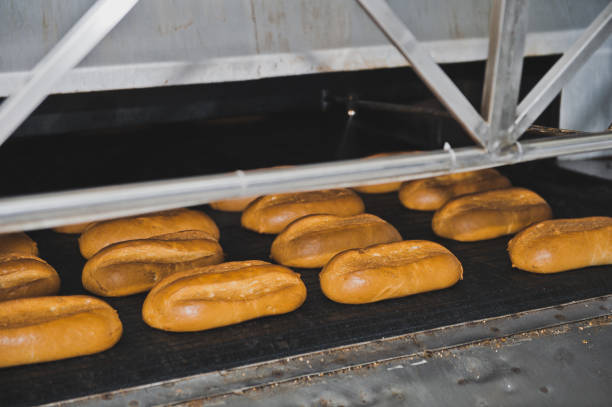 istock Rolls on pallets of a conveyer 3634. 950790820