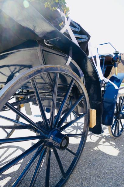 istock Blue antique horsedrawn carriage 950791262