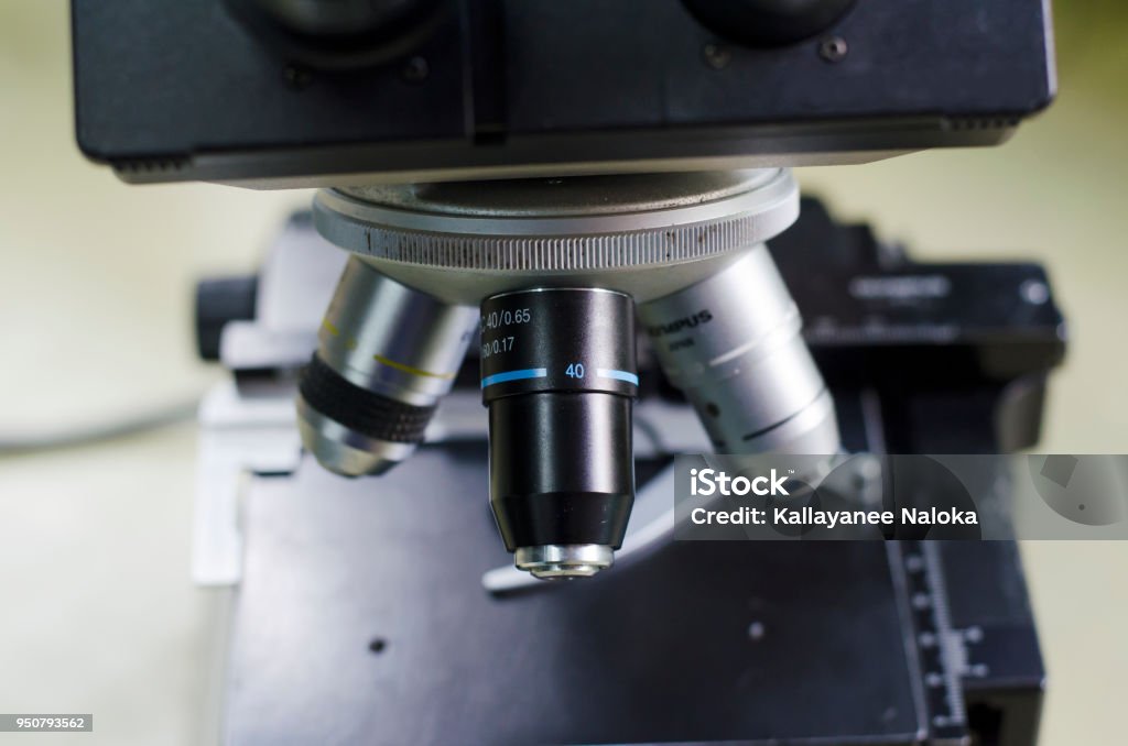 Lighting Microscope Light Microscope Stock Photo - Download Image Now - Bacterium, Biology ...