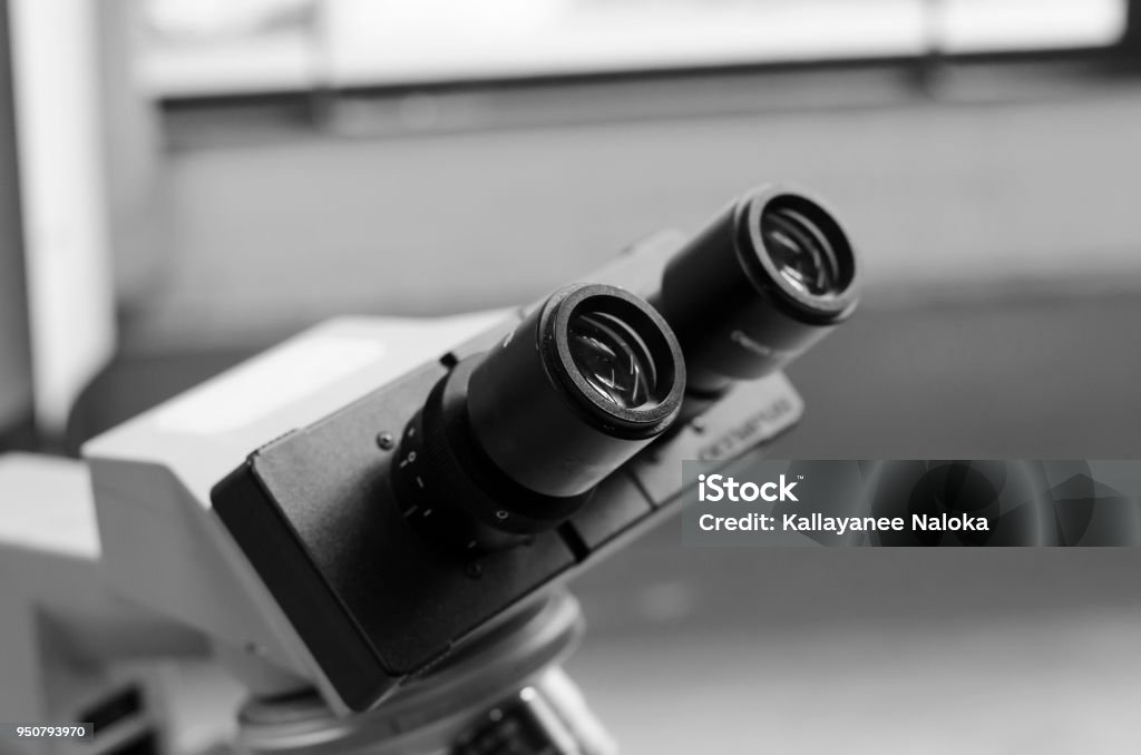 Empty Light Microscope Light Microscope Stock Photo - Download Image Now - Bacterium, Biology ...