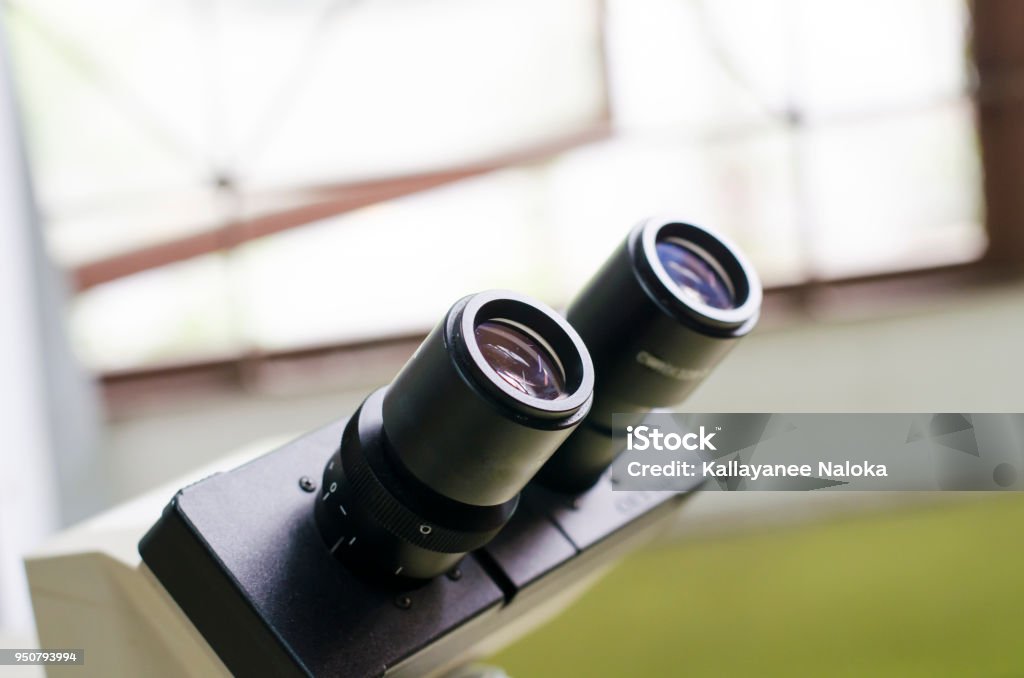 Empty Light Microscope Light Microscope Stock Photo - Download Image Now - Bacterium, Biology ...