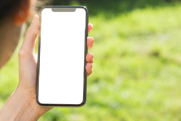 istock Woman Hand Holding Mobile Phone 950796936