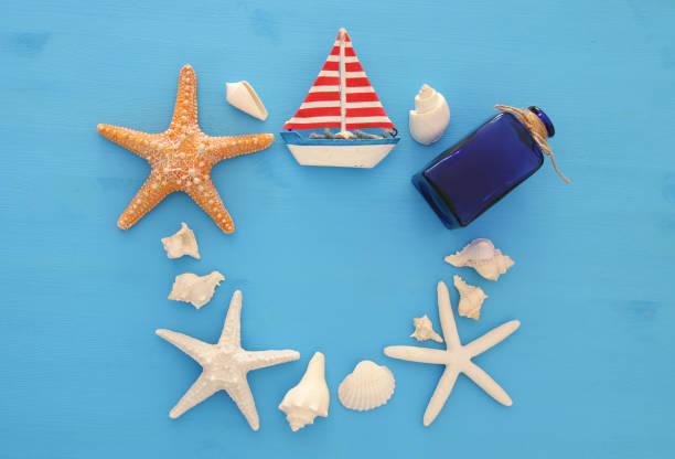 istock nautical and summer holidays concept with sea life style objects, seashells and starfish over blue wooden background. 950801654