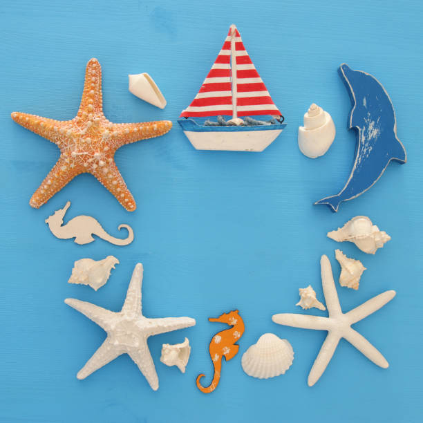 istock nautical and summer holidays concept with sea life style objects, seashells and starfish over blue wooden background. 950801656