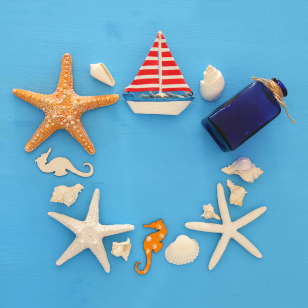 istock nautical and summer holidays concept with sea life style objects, seashells and starfish over blue wooden background. 950801658