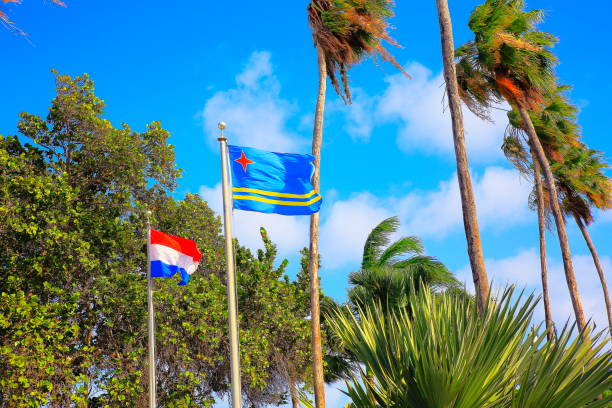 istock Aruban flag and dutch Tropical garden: palm trees and foliage, Caribbean 950802468