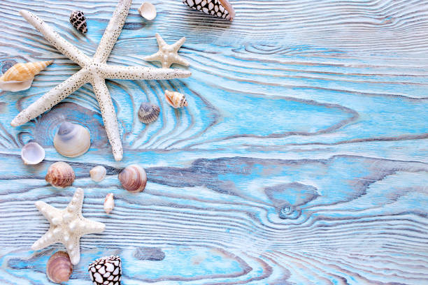 istock Summer sea background - shells, star on a wooden blue background with copy space 950802998