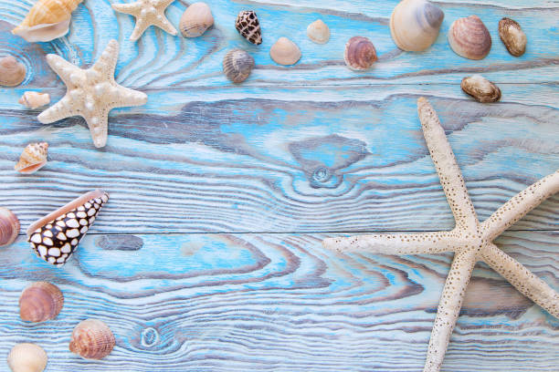 istock Summer sea background - shells, star on a wooden blue background with copy space 950804798