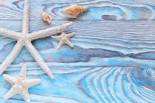 istock Summer sea background - shells, star on a wooden blue background with copy space 950806318