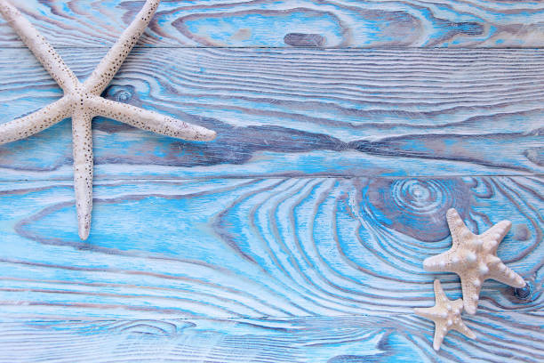 istock Summer sea background - shells, star on a wooden blue background with copy space 950806420