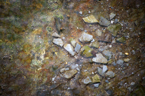 istock Slate and mineral underwater 950827142