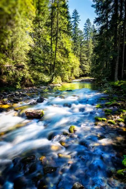 Mountain stream in the Koscieliska valley, Tatra Mountains, Poland