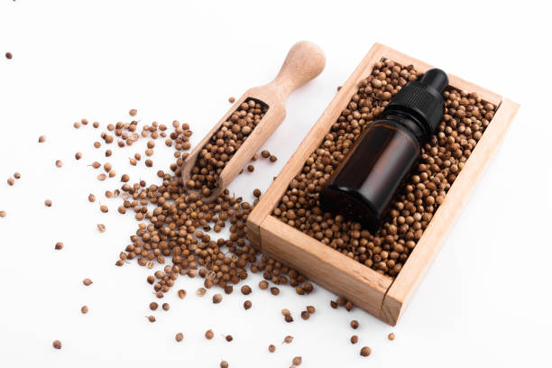 istock coriander seeds on a white background, essential oil 950836096