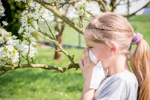 Child suffering from pollen allergy, blowing nose.