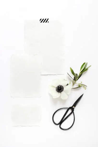 Wedding, birthday desktop mock-up scene. Blank cotton paper greeting cards, black vintage sciccors and olive branch with anemone flower, white table background. Vertical feminine flat lay, top view.