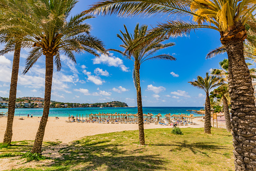 Beautiful seaside bay, beach with palm trees in Santa Ponsa on Majorca island, Spain