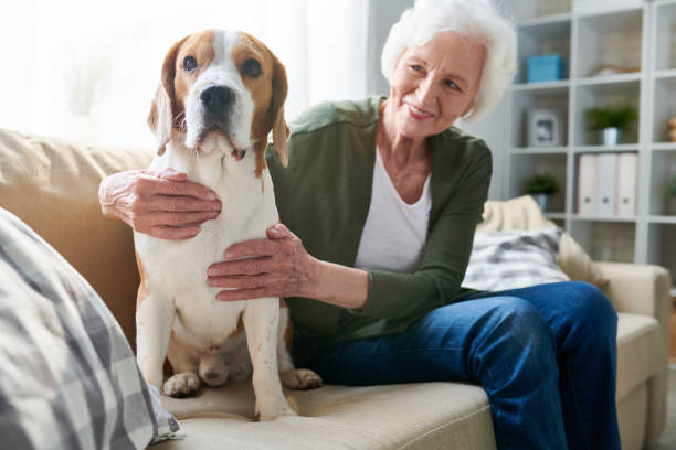 istock Pretty senior woman embracing dog 950847182