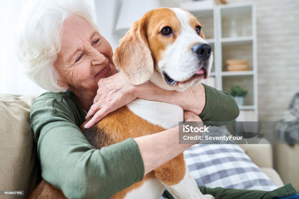 Granny heureuse aimer son chien - Photo de Troisième âge libre de droits