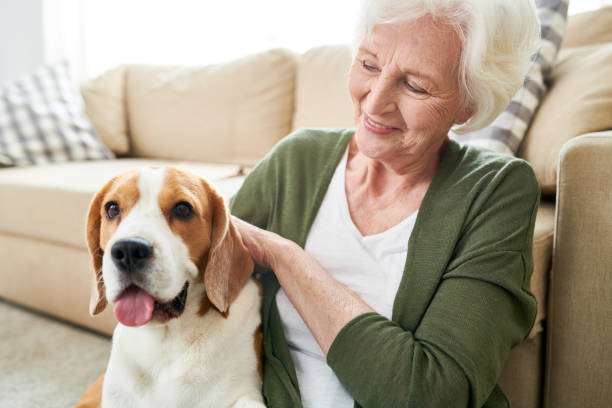 istock Positive senior owner stroking dog 950847230