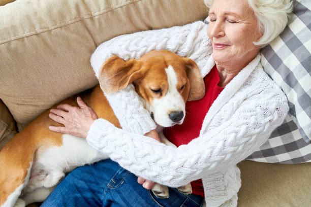 istock Pleased owner sleeping with dog 950847244