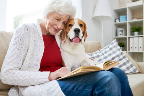 istock Smiling senior woman reading book with dog 950847246