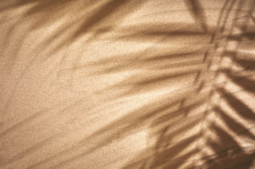 Copy space of shadow palm leaf on sand beach texture background