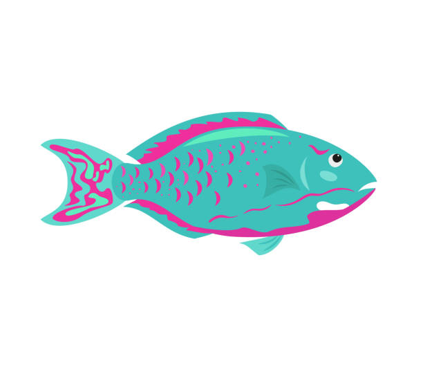 Tropical fish on white background. Tropical fish on white background. Vector illustration. parrot fish stock illustrations