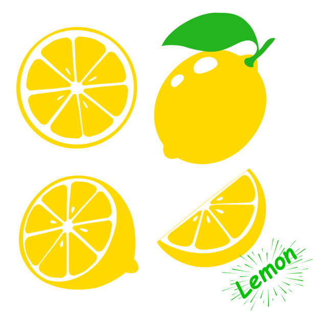 ilustrações de stock, clip art, desenhos animados e ícones de icon lemon. set fresh lemon fruits and slice. isolated on white background. vector illustrations - fatia ilustrações