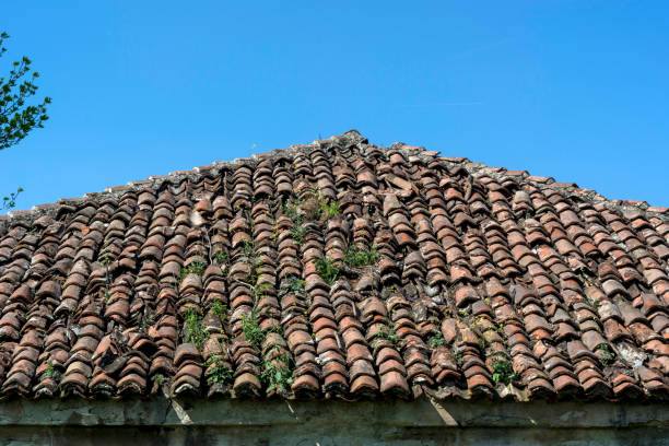 istock Very old red tile on old house roof in nature 950854862