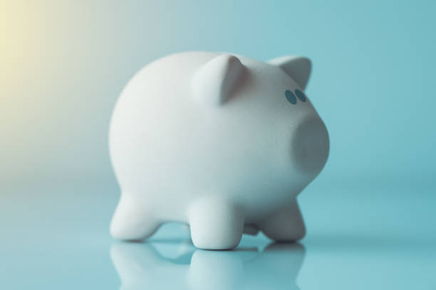 istock Piggy coin bank 950855982