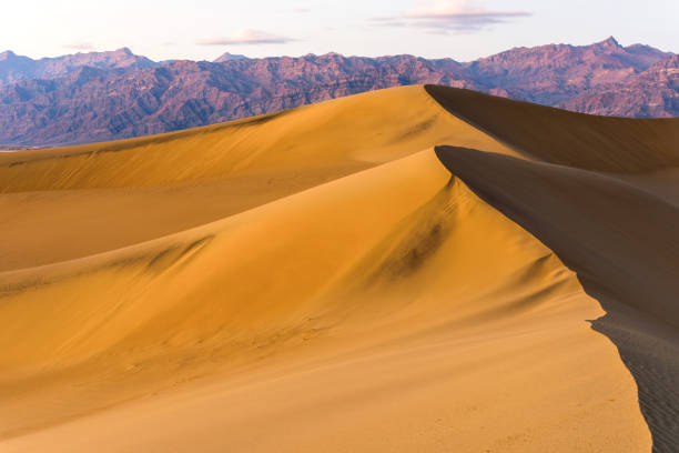 istock Sunset Sand Dunes - A Spring sunset view of rolling sand dunes standing tall at front of rugged mountains of Amargosa Range. Death Valley National Park. 950857128