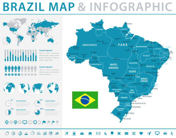 карта бразилии - инфографика вектор - minas gerais state flag brazilian flag brazil stock illustrations