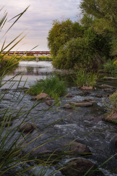 istock Sunset at Wetlands park in Las Vegas 950860052