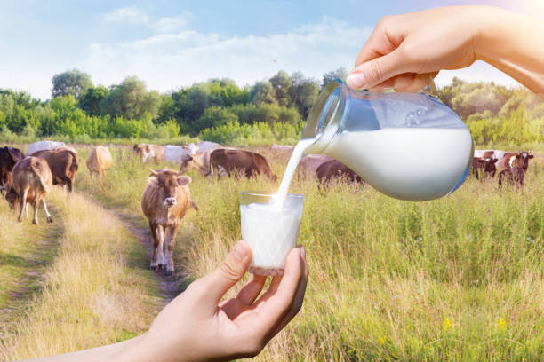 istock Milk poured from a jug into a glass . 950860936