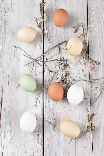 High angle view of different hen eggs on a rustic white wood table with twigs.