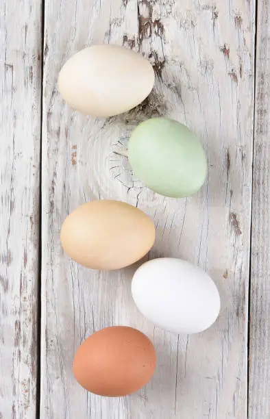 High angle view of five different hen eggs on a rustic white wood table.