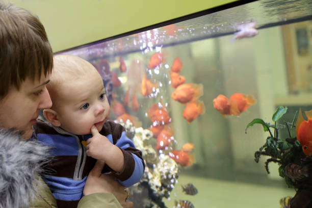 istock Mother with her baby at aquarium 950870000