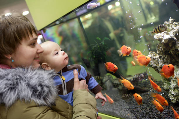 istock Mother with her baby boy at aquarium 950870106