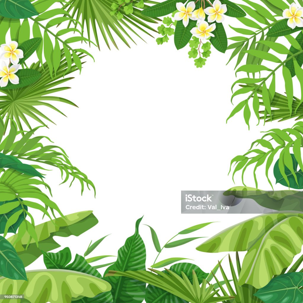 Summer Background with Tropical Plants Summer background with green leaves and flowers of tropical plants. Square floral frame with space for text. Tropic rainforest foliage border. Vector flat illustration. Tropical Climate stock vector