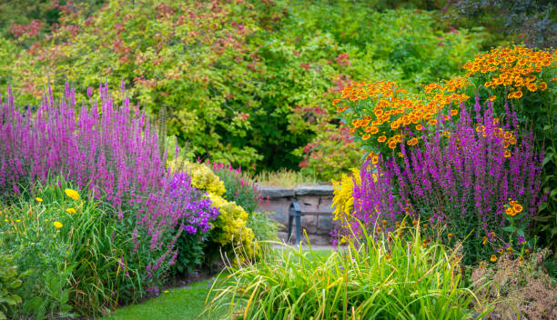 istock Lavish flowerbeds in Swedish garden 950873842