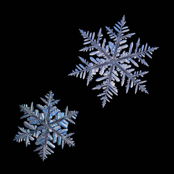 istock Two snowflakes isolated on black background 950875108