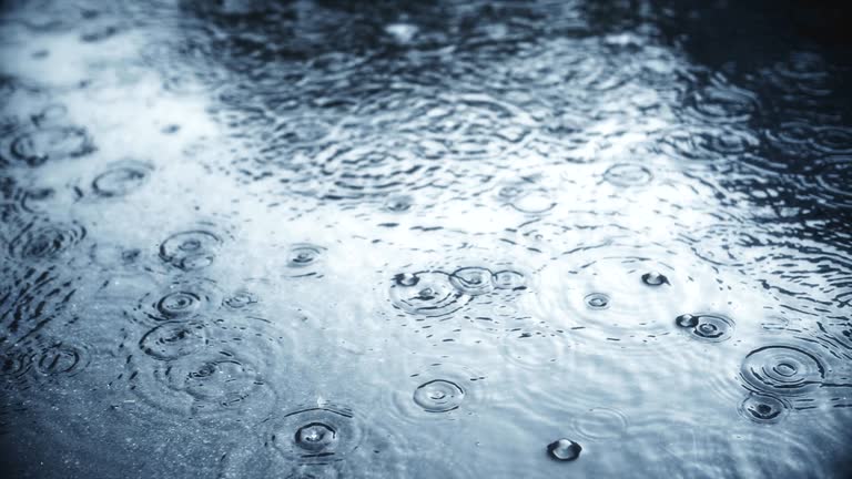 Descarga videos de stock de Lluvia gratis en 4K y HD 21637 clips Descarga videos de stock de Lluvia gratis en 4K y HD 21637 clips