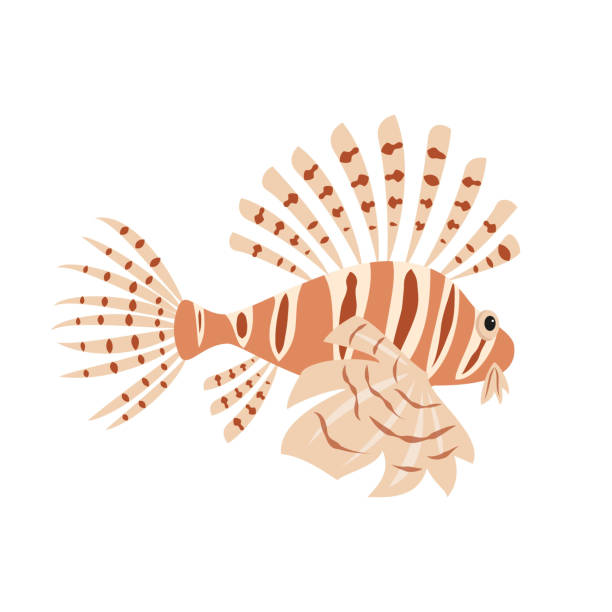ilustrações, clipart, desenhos animados e ícones de peixe-leão tropical em fundo branco. - lionfish