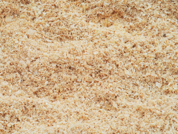 istock Sawdust background close-up, wood carpentry texture, filings, rasping 950883482