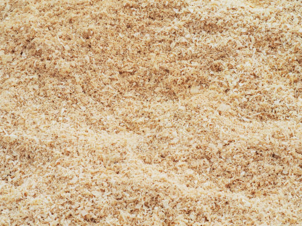 Sawdust background close-up, wood carpentry texture, filings, rasping