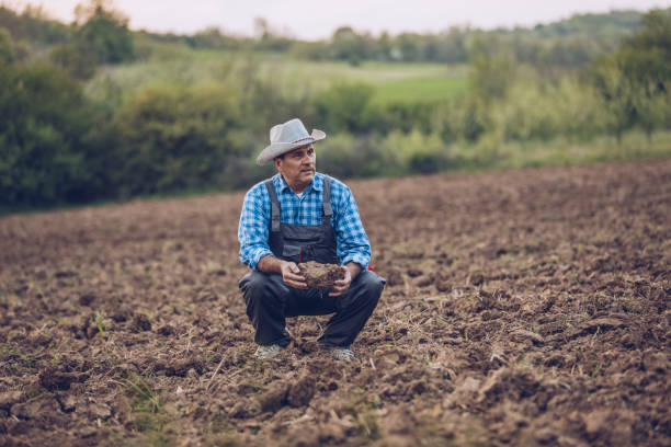 istock Farmer checking the soil on his field 950890618