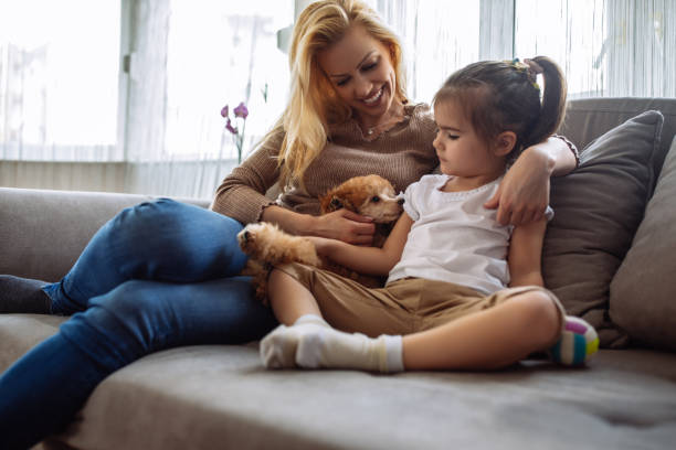 istock Cuddling with their new family member 950892730