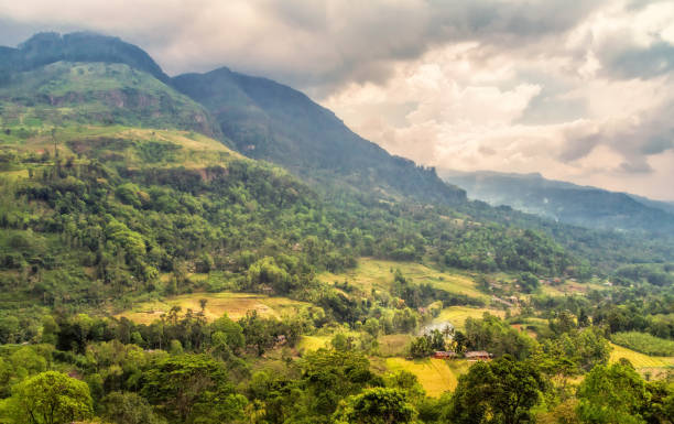 istock Somewhere in the mountains in Sri Lanka. 950892884