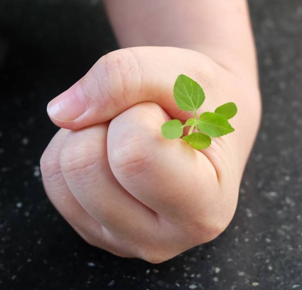 istock Hand Protecting A Green Small Young Plant 950899526