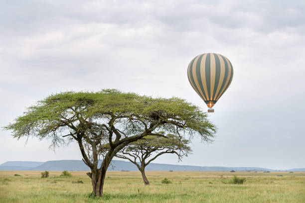 Hot Air Balloon over the Serengeti stock photo